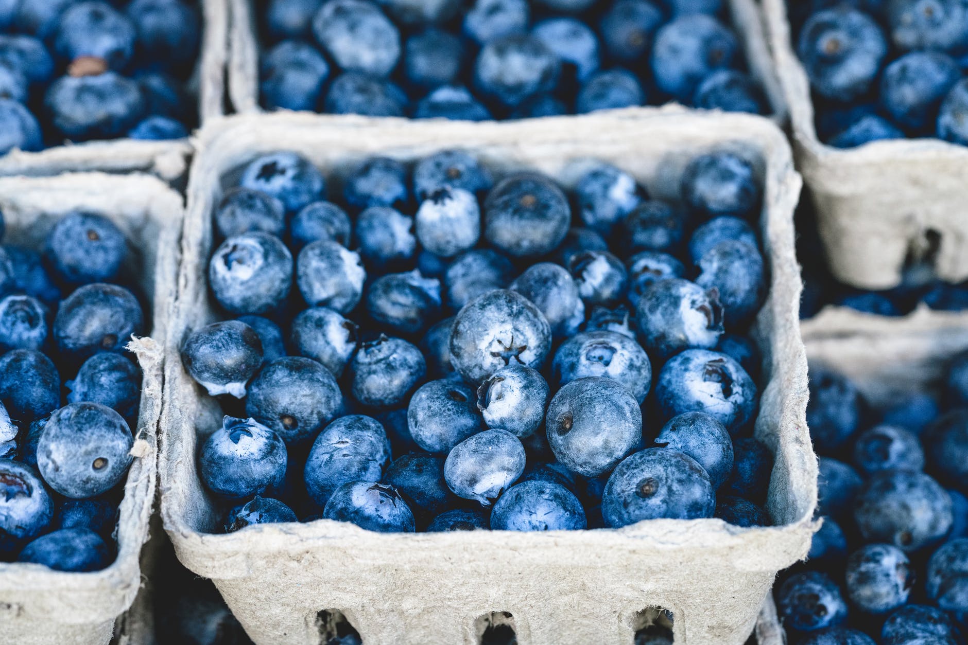Superfoods for weight loss - Blueberries