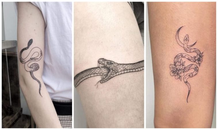 Buy Snake Tattoo Design Online in India  Etsy