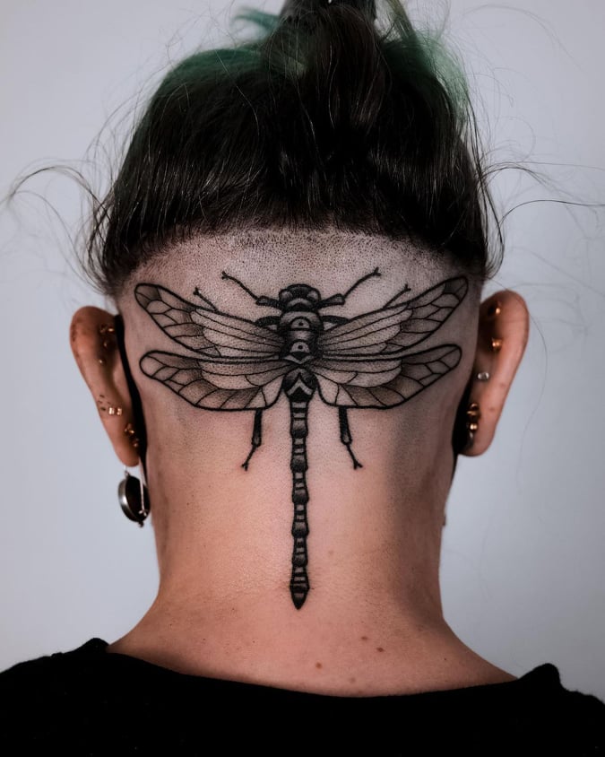 Dragonfly Mountain inside Wings Tattoo Stock Photo  Alamy