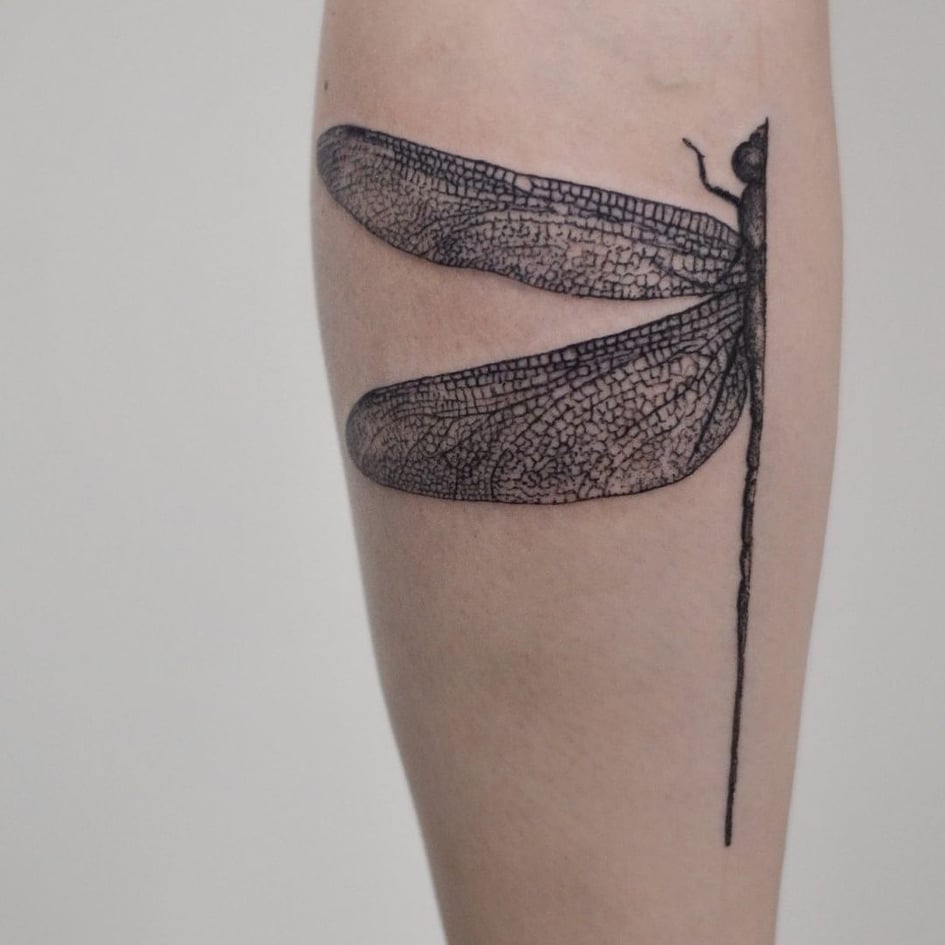 Top 10 Dragonfly Tattoos ideas and placements