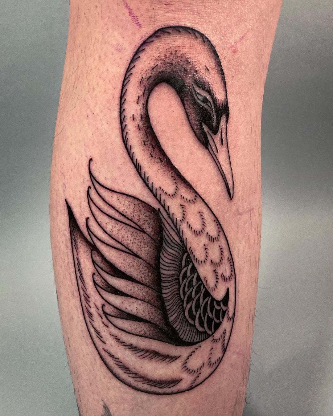 Bird Tattoo Ideas 