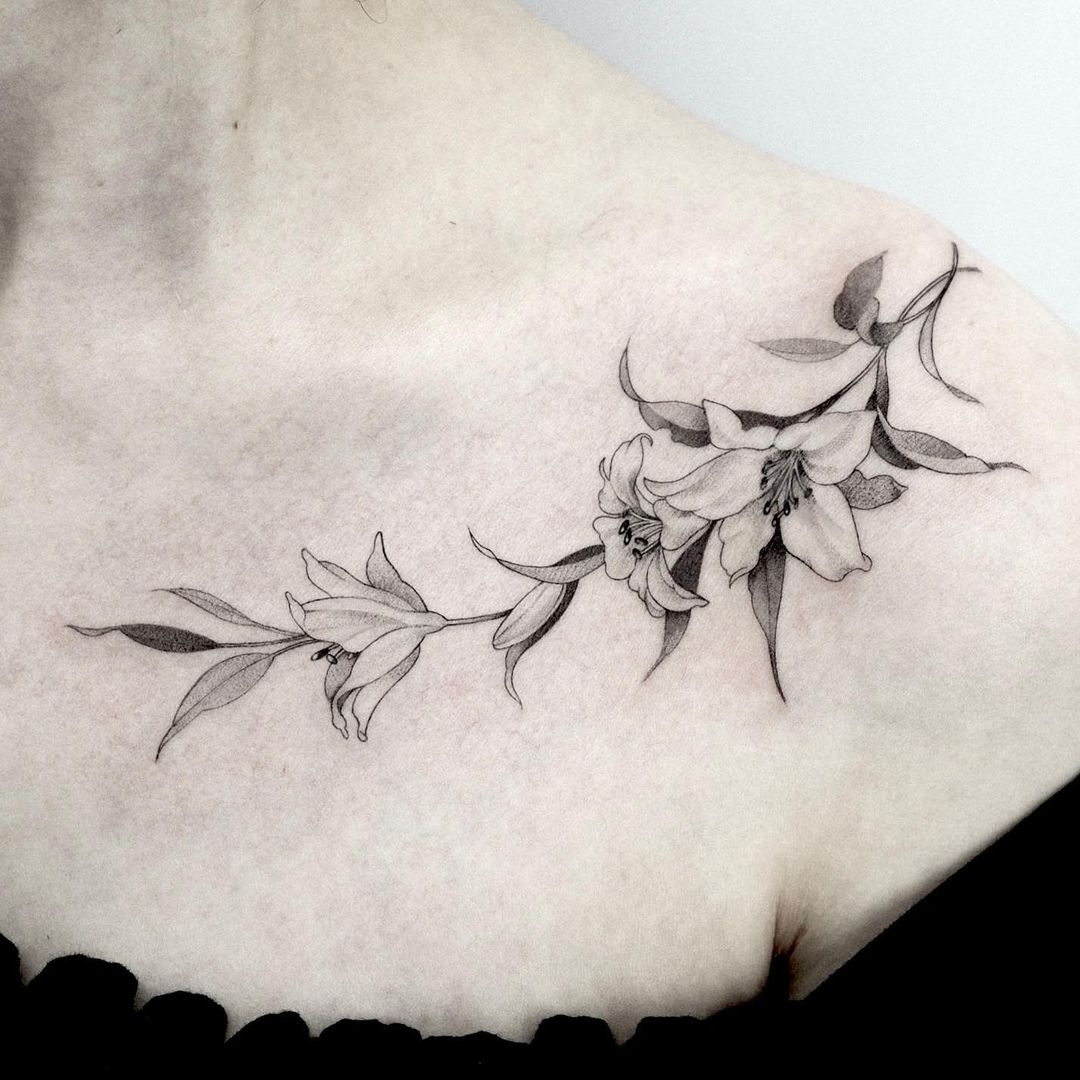 Lily Tattoo Designs 